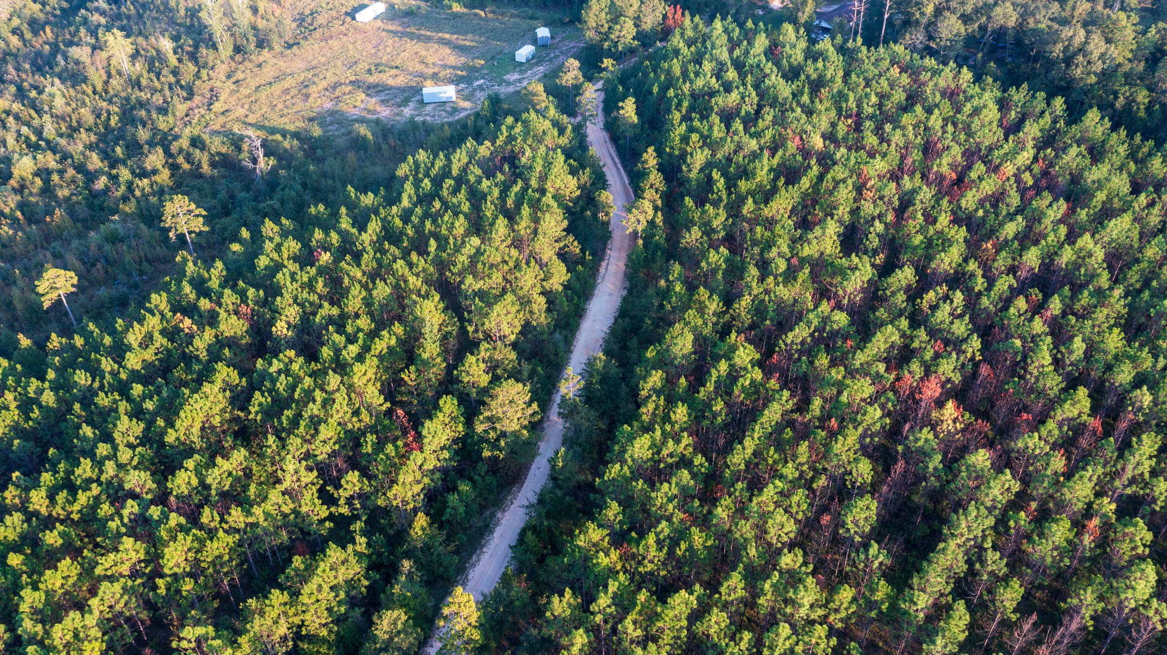 Tract 1 at Jacksons Gap in Barbour County, Alabama