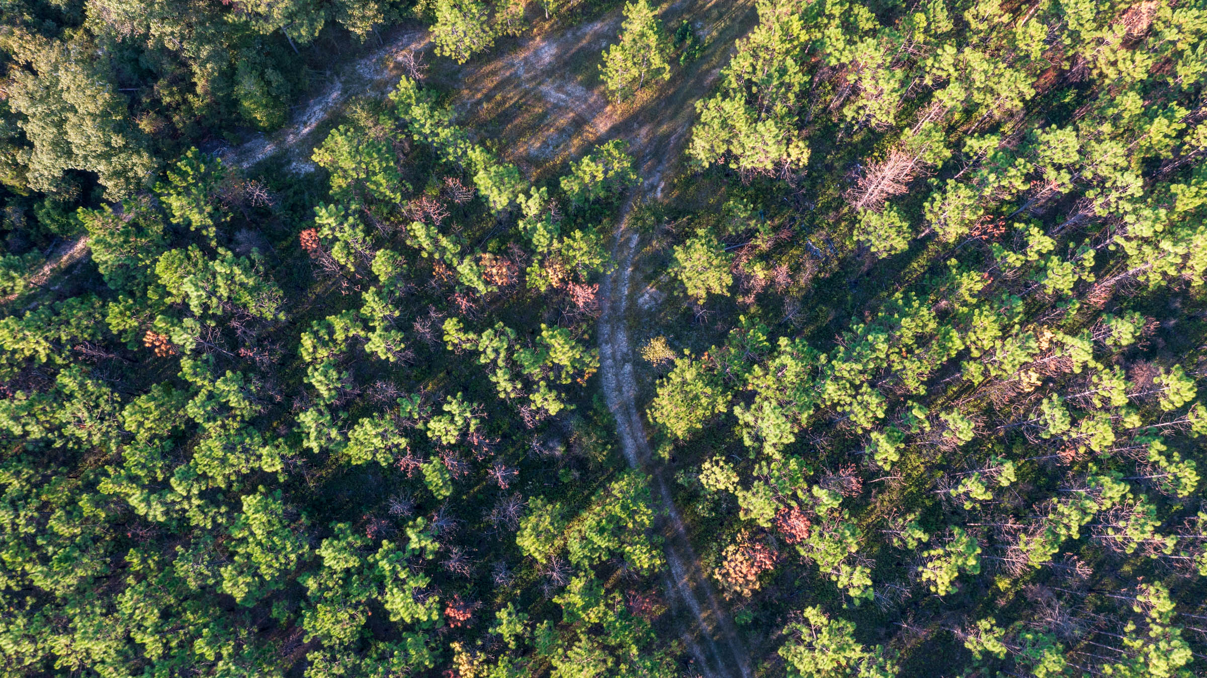 Tract 15 at Jacksons Gap in Barbour County, Alabama
