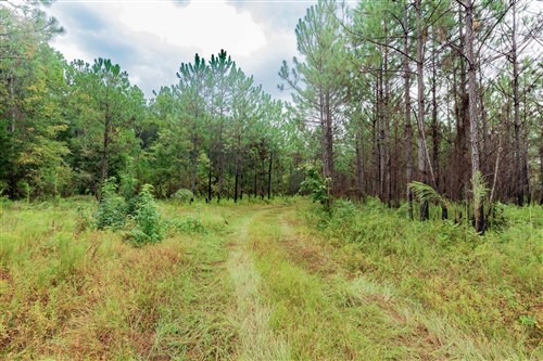 Jacksons Gap Tract 3