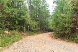 Jacksons Gap Tract 3