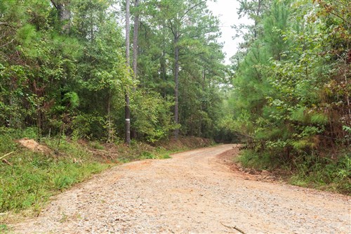 Jacksons Gap Tract 3