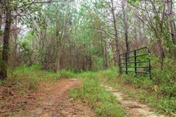 Jacksons Gap Tract 3