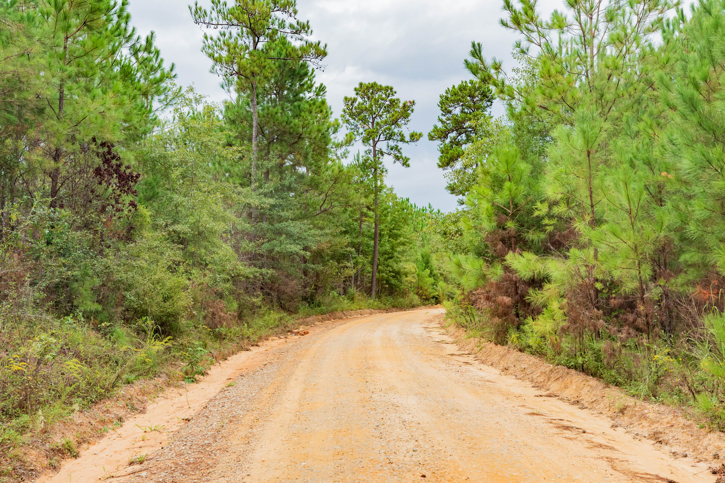Tract 6 at Jacksons Gap in Barbour County, Alabama