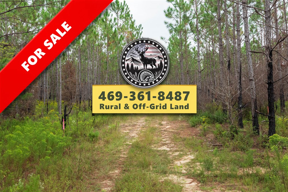 Jacksons Gap Tract 9 - Primary