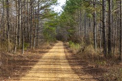Lightning Ridge Tract 1