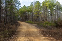Lightning Ridge Tract 1