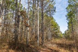 Lightning Ridge Tract 1