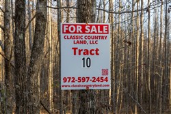 Lightning Ridge Tract 10