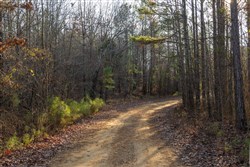 Lightning Ridge Tract 10