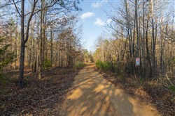Lightning Ridge Tract 10