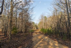 Lightning Ridge Tract 10