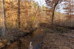 Lightning Ridge Tract 10