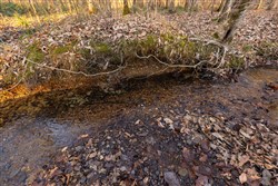 Lightning Ridge Tract 10