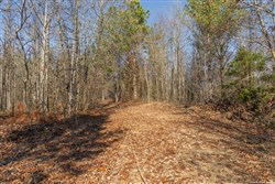 Lightning Ridge Tract 100