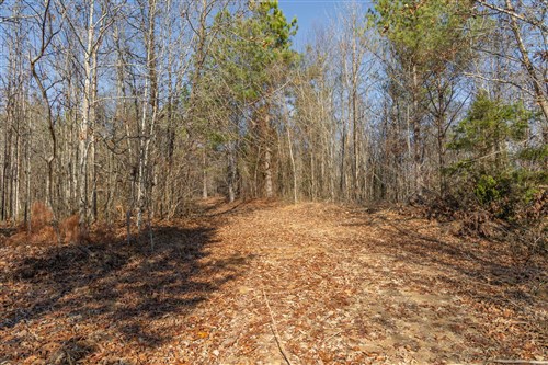 Lightning Ridge Tract 100