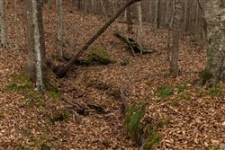 Lightning Ridge Tract 100