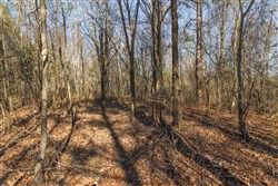 Lightning Ridge Tract 100