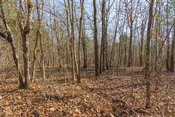 Lightning Ridge Tract 100