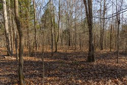 Lightning Ridge Tract 101