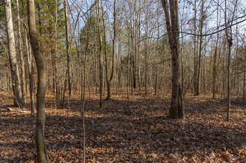 Lightning Ridge Tract 101