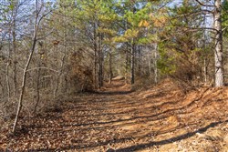 Lightning Ridge Tract 101
