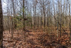 Lightning Ridge Tract 102