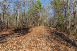 Lightning Ridge Tract 102