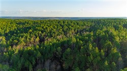 Lightning Ridge Tract 103