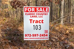 Lightning Ridge Tract 103