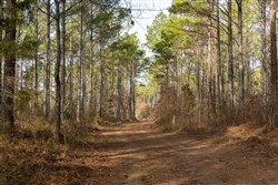Lightning Ridge Tract 103