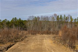 Lightning Ridge Tract 104