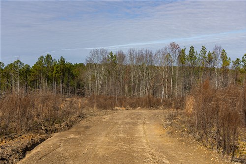 Lightning Ridge Tract 104