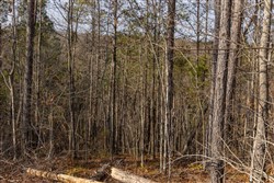 Lightning Ridge Tract 104