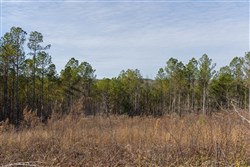 Lightning Ridge Tract 105