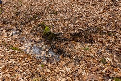 Lightning Ridge Tract 105