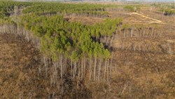 Lightning Ridge Tract 106