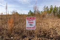 Lightning Ridge Tract 106