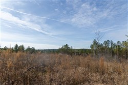 Lightning Ridge Tract 106