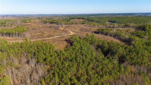 Lightning Ridge Tract 107