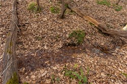 Lightning Ridge Tract 107