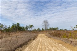 Lightning Ridge Tract 107