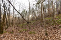 Lightning Ridge Tract 107