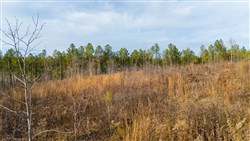 Lightning Ridge Tract 107