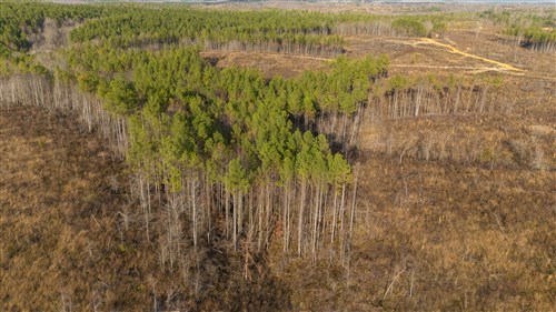 Lightning Ridge Tract 108