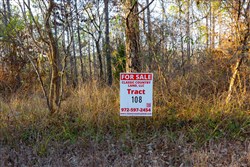 Lightning Ridge Tract 108