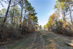 Lightning Ridge Tract 108