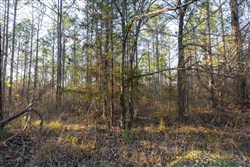 Lightning Ridge Tract 108