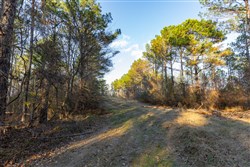 Lightning Ridge Tract 108