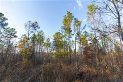 Lightning Ridge Tract 108