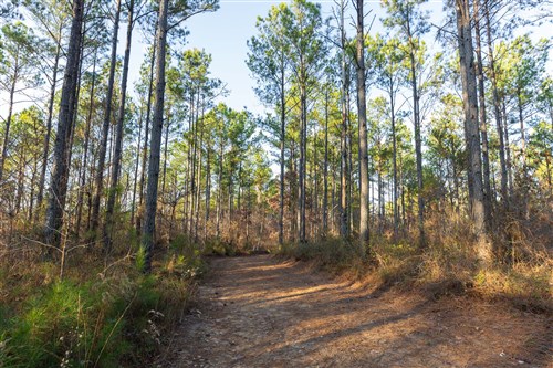 Lightning Ridge Tract 109